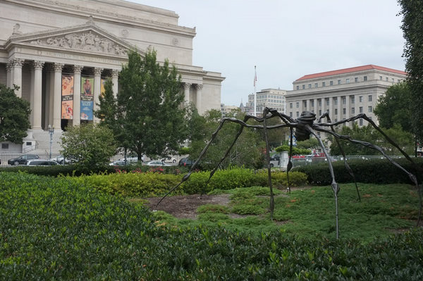 A giant poop spider art sculpture.  Wow, anything